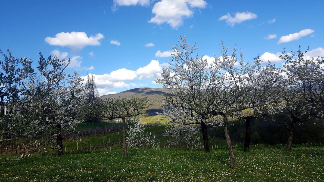 Casaroman San Floriano del Collio Exterior photo