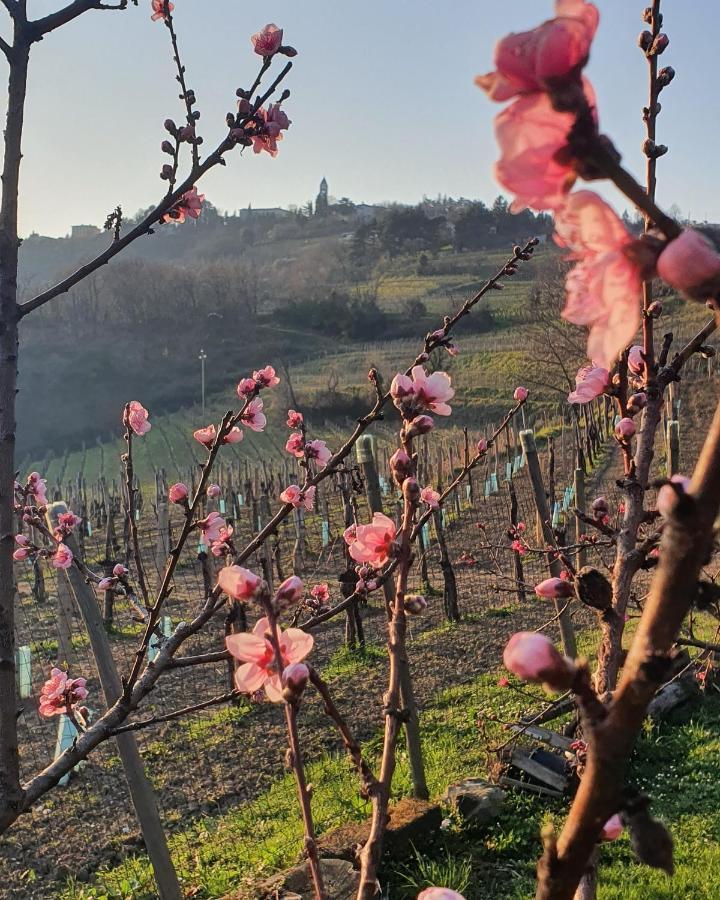 Casaroman San Floriano del Collio Exterior photo