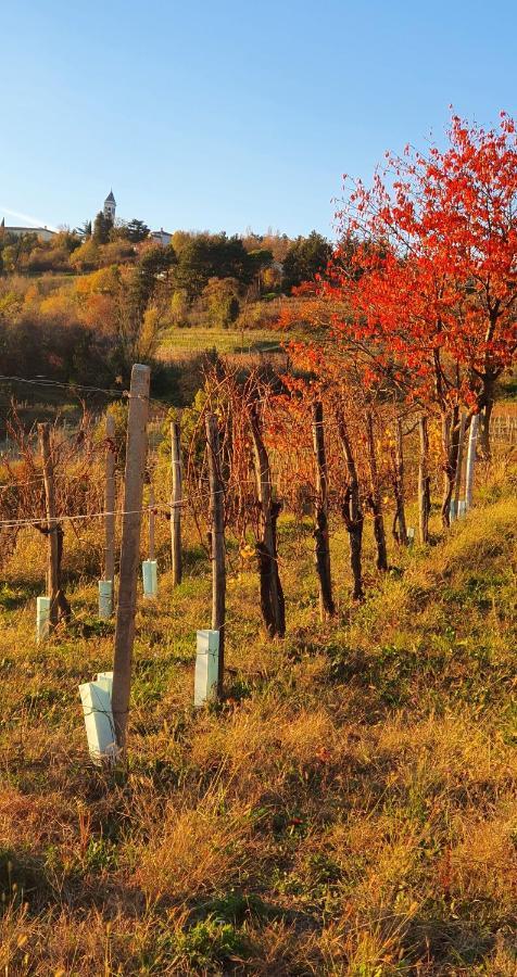 Casaroman San Floriano del Collio Exterior photo